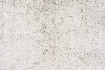 Textured background of a tiled wall with traces of moisture in the form of a green fungus vertical traces. Grunge texture