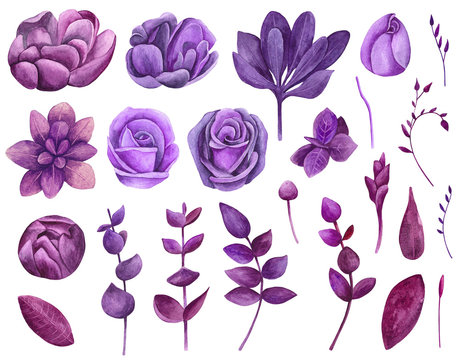 Watercolor purple flowers set clipart . Floral violet collection clip art