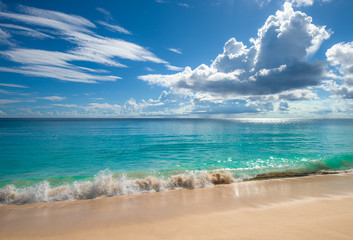 Fototapeta na wymiar Tropical island beach. Perfect vacation background.
