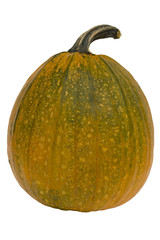 orange pumpkin