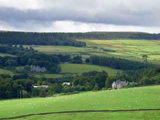 English countryside, farmland in County Durham, England, UK.