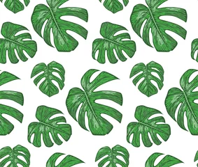Fototapete Tropische Blätter Seamless pattern with philodendron plants, green leaves cute wallpaper. Vector elegant print isolated on white background
