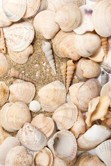 Heart drawn on the sand on the beach among seashells. Vacation, beach.