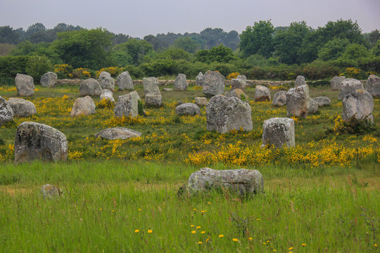 Prehistoric megalithic monuments menhirs in Carnac area in Brittany among flowers in the spring, France