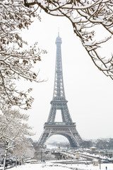 Fototapeta na wymiar The Eiffel tower seen through snow-covered branches on a snowy day in Paris, France, with the top of the tower disappearing slightly in the mist.