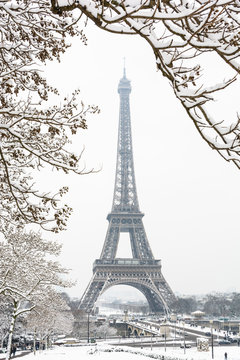 The Eiffel tower seen through snow-covered branches on a snowy day in Paris, France, with the top of the tower disappearing slightly in the mist.