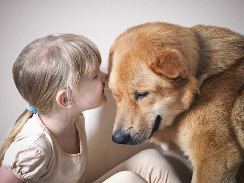The little girl whispers something in the ear of a huge dog
