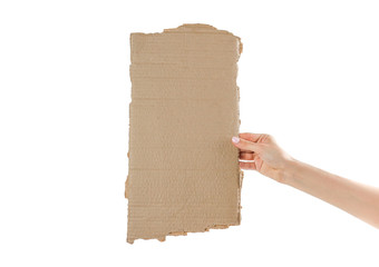 Hands holding a piece of cardboard. Isolated on a white background. Prepared for your text