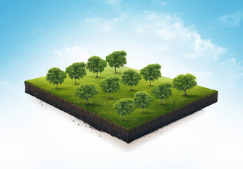 3d illustration of a soil slice, green garden with trees isolated on white