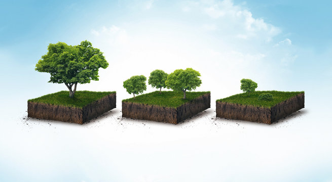 3d illustration of a soil slice, green meadow with trees isolated on white