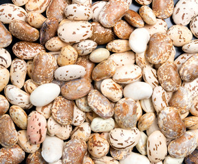 Big Light white bean grain, bean pod, a lot of beans texture pattern background for web design and...