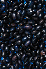 Big black bean grain, bean pod, a lot of beans texture pattern background for web design and sale