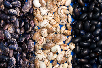 Big Three types of bean grain, bean pod, a lot of beans texture pattern background for web design...
