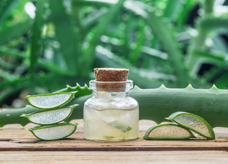 Fresh aloe leaves and aloe gel in the cosmetic jar on wooden table.