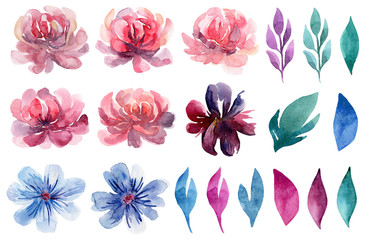 Watercolor floral clip art set. Pink flowers painted illustration collection