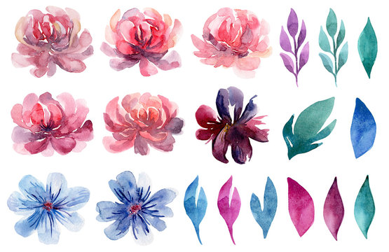 Fototapeta Watercolor floral clip art set. Pink flowers painted illustration collection