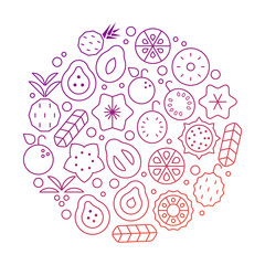 Colorful Tropical Vector round frame with exotic plants and fruits.