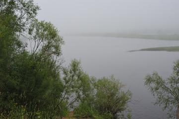 Misty pond