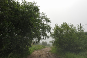 Obraz na płótnie Canvas Misty field