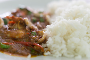 steamed rice with spicy fried sea food