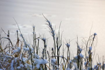 Fototapeta premium After the first snowfall