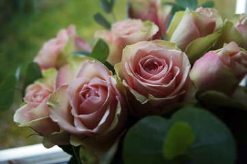 Beautiful bouquet of roses