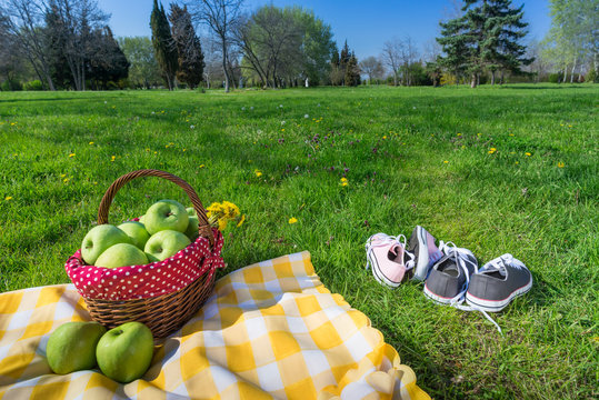 picnic basket and blanket