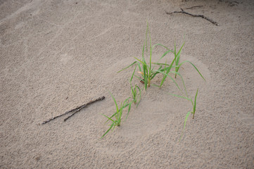 River beach details