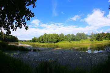 beautiful scenery on the river and forest