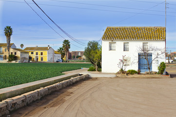 Landscape of the garden of Valencia
