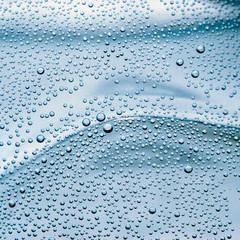 Bubbles in the water.