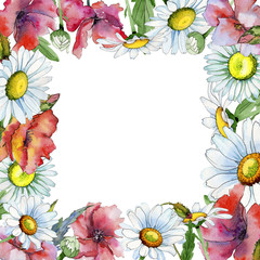 Wildflower chamomile flower frame in a watercolor style. Full name of the plant: chamomile. Aquarelle wild flower for background, texture, wrapper pattern, frame or border.