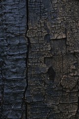 old wooden texture