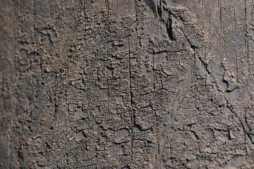 old wooden texture