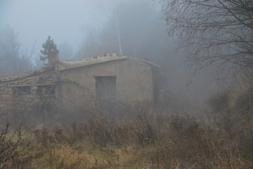 ruine dans la brume