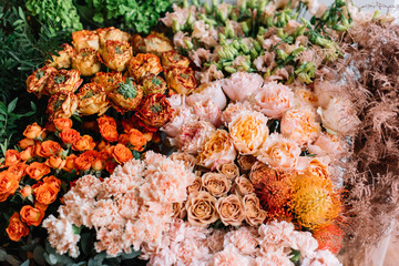 Beautiful fresh blossoming endless flowers (roses, ranunculus, carnations) in pink and orange...
