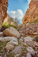 Avakas Gorge in Cyprus. Little river in foreground, sunlit rocks