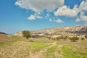 Sunny vanishing footpath among sunny growth on Avakas Gorge slopes.