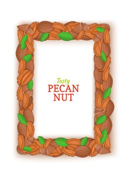 Vertical Rectangle colored frame composed of delicious of pecan nut. Vector card illustration. Filbert nuts frame, walnut fruit in the shell, whole, shelled, leaves for packaging design of food