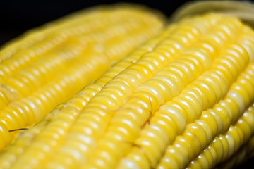 Yellow corn macro. 