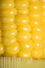 Yellow corn macro. 