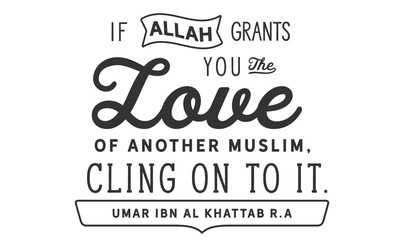 If Allah Grants You the Love of another Muslim, Cling on to it. 