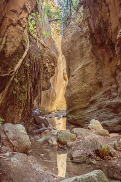 Sunlit rocks of Avakas Gorge in Cyprus.