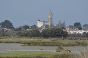 Noirmoutier, chateau et église devant  la réserve de Müllembourg