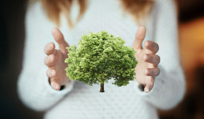 Mano di donna con modello di albero, quercia 3d, ecologia o riciclo