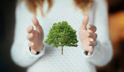 Mano di donna con modello di albero, quercia 3d, ecologia o riciclo - obrazy, fototapety, plakaty