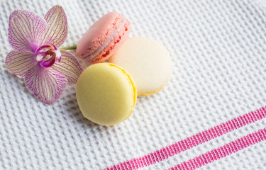 Colorful french macaroons