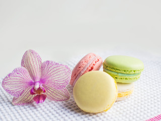 Colorful french macaroons