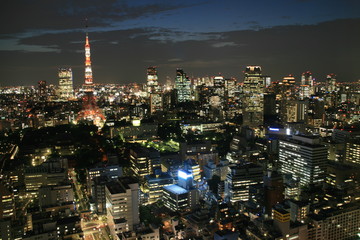 東京の夜景（東京タワー）