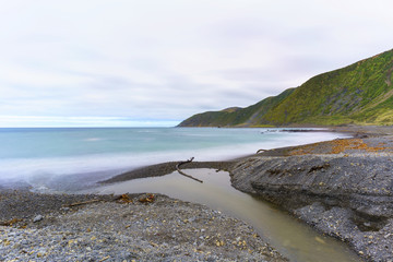Te Kopahou Reserve is located at Owhiro Bay where people can enjoy walking , cycling and also driving 4WD vehicles along the coast, Wellington , North Island of New Zealand © PK4289